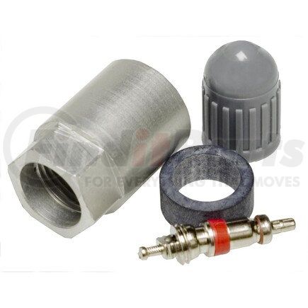 Standard Ignition TPM2010K INTERMOTOR TIRE