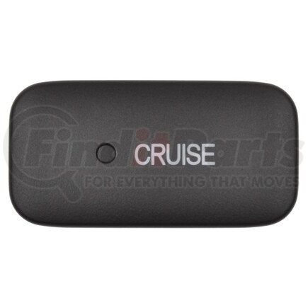 Standard Ignition CCA1116 CRUISE CONTROL SWITCH - I