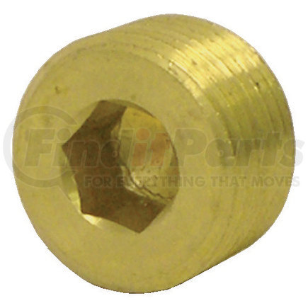 Tectran 118-C Countersunk Hex Head Plug  (Stock Code: 88155) (Representative Image)