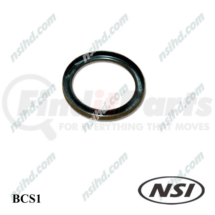 BWP-NSI M-824 CAM SEAL