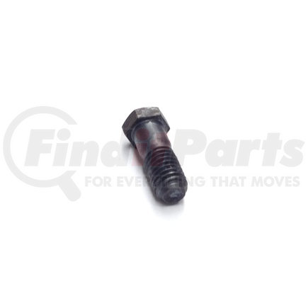 TTC 330231 SCREW 