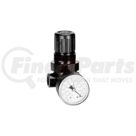 Amflo 4100 1/4" Mini Regulator