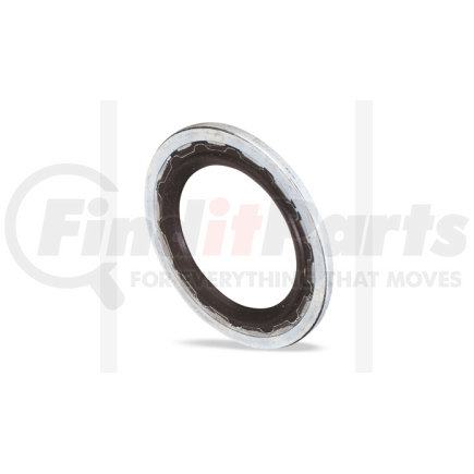 FJC, Inc. 4066 GM SEALING WASHER