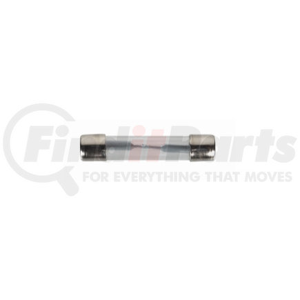 The Best Connection 2409E 10 Amp AGC Glass Iron-Head Fuse 2 Pcs