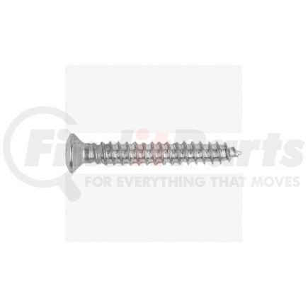 Auto Body Doctor 6325 Torx« Oval Head Trim Screws, Size: 4.2-1.41 x 30mm, Head Size: 7mm, Finish: Chrome, Qty: 10