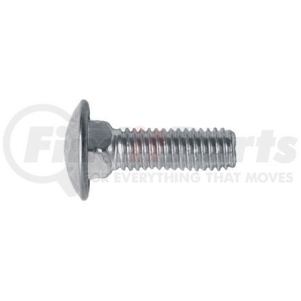 Auto Body Doctor 6365 Stainless Steel Bumper Bolt, Round Head, Size: 1/2"-13 x 1-1/2", Head: 1-3/32", Qty: 10