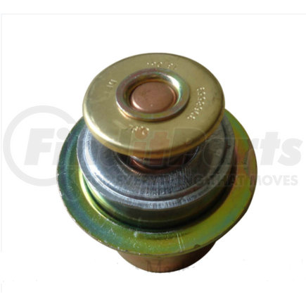 Cummins 4930594 Non-Returnable, Thermostat