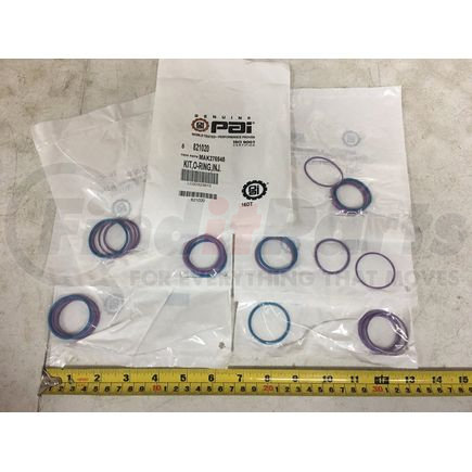 PAI 821020 KIT,O-RING,INJ.