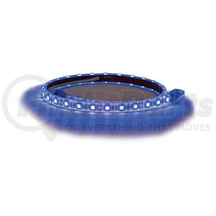 Buyers Products 5625175 48 Inch 72-LED Strip Light with 3M™ Adhesive Back - Blue