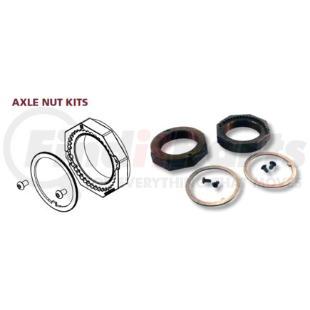 Hendrickson S-32844/2 AXLE NUT KIT PRECISION 320, PM