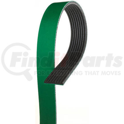 Freightliner 01-27116-004 BELT 8 RI