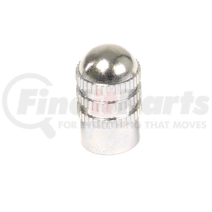 GROUP 31 XTRA SEAL 17-491T VALVE CAP