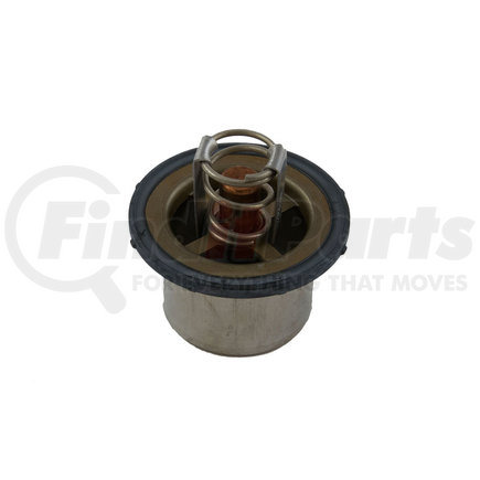 Cummins 4318947 Thermostat