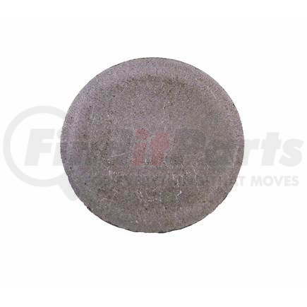 AxleTech 1250K219 Plug