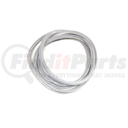 FP Diesel 8929102 PAN GSK