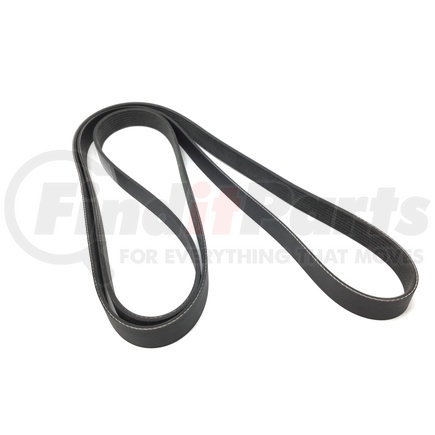 Dayco 5081063 V-RIBBED BELT