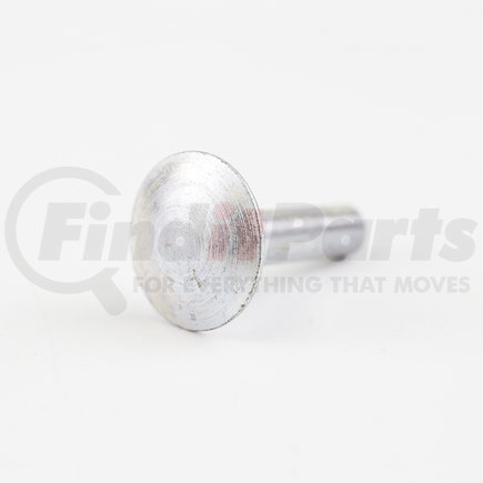 TransGlobal 89210P-0032 Steel Door Rivet 1/4”× 1”