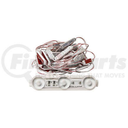 ECCO EW0133 LED INTERIOR LIGHT 34' 12V