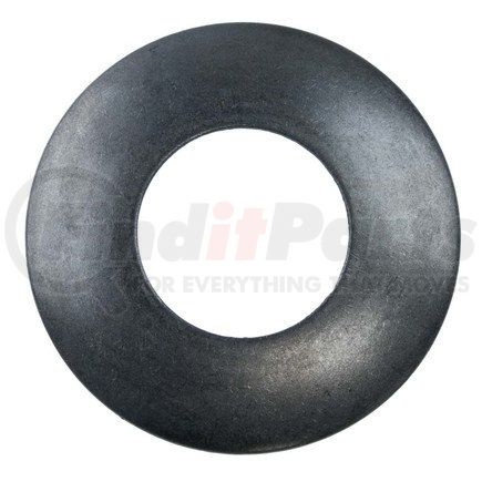 World American 161061R2 WASHER