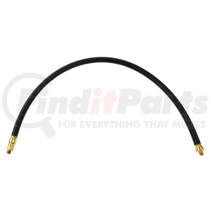World American WA01-5124 3/8" AIR HOSE ASSEMBLY