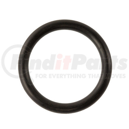 World American WA09-5008 O RING