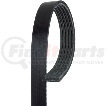 ACDelco 5K835 V-Ribbed Serpentine Belt