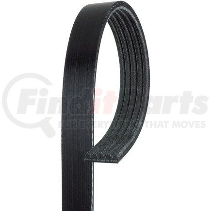 ACDelco 5K446 V-Ribbed Serpentine Belt