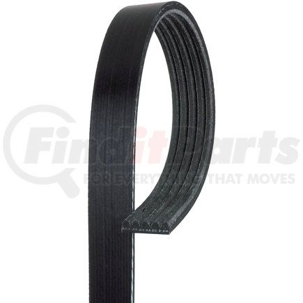 ACDelco 5K545 V-Ribbed Serpentine Belt