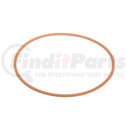 Case-Replacement G32176 BACK-UP RING(101.22MM ID X 107.32MM OD X 1.4MM TH)