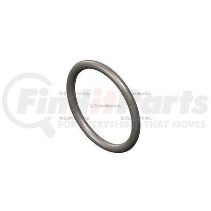 Cummins 3073920 SEAL,O RING