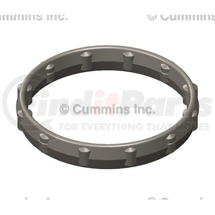 Cummins 2865048 D Ring Seal