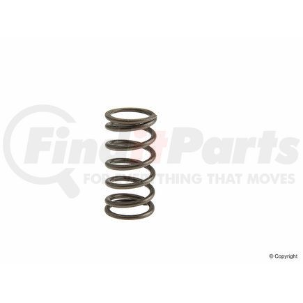 AMC 652851 Engine Valve Spring for VOLKSWAGEN WATER