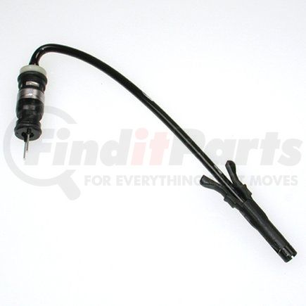 Delphi FJ10039 Fuel Injector
