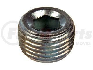 Dorman 090-022 PIPE PLUG C.S. HEX