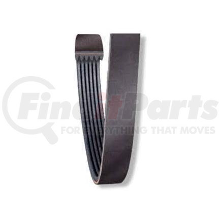 NAPA 25-061031 SERPENTINE BELT