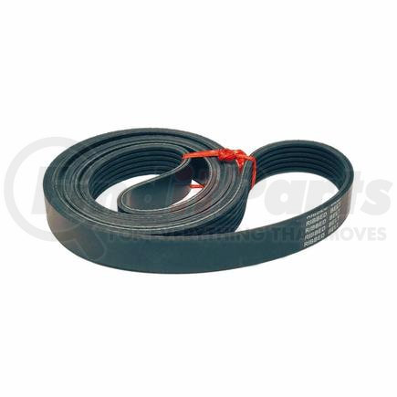 Cummins 3972263 BELT,V RIBBED for Cummins
