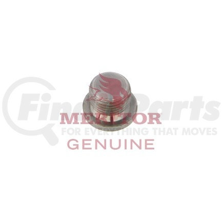 AxleTech 1250N1080 PLUG