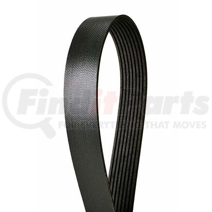 Freightliner 01-32732-170 BELT,8K,MAIN ACC,MBE4000,2170