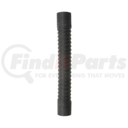 Dayco 82031GL RADIATOR HOSE