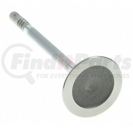 Sealed Power V-4586 Engine Exhaust Valve