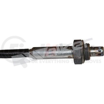 Motorcraft SP469X