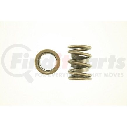 Pioneer 8101044 Valve Spring