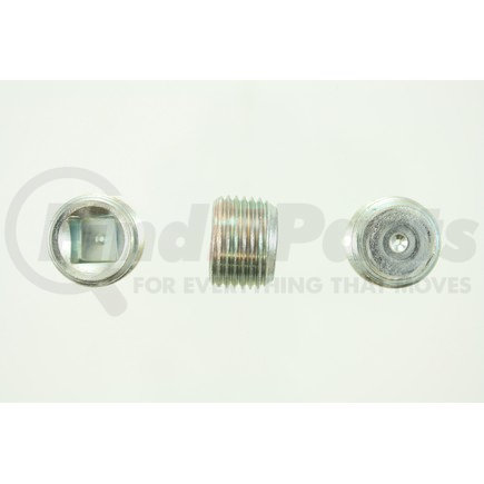 Pioneer PP47525 PIPE PLUG