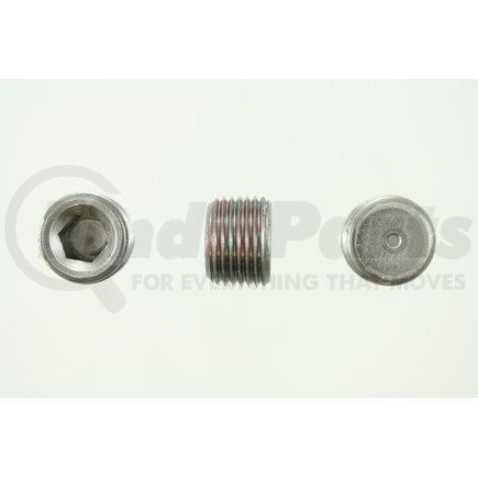 Pioneer PP63725 PIPE PLUG