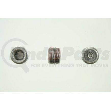 Pioneer PP73525 PIPE PLUG