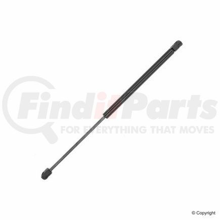 Tuff Support 610248 Hood Lift Support for HYUNDAI