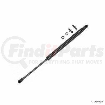 Tuff Support 613207 Hood Lift Support for LEXUS