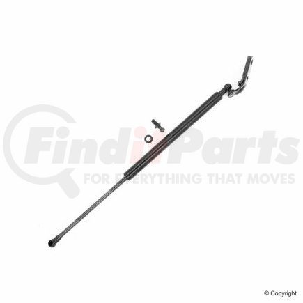 Tuff Support 613247 Hood Lift Support for LEXUS