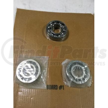 Dana 312476-21X Bearing Kit