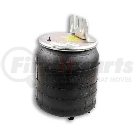 Firestone W013589865 AIR BAG